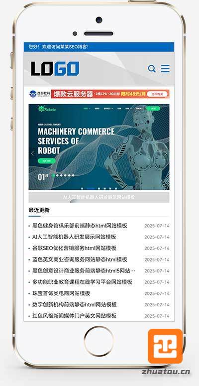 (自适应手机端)网站优化SEO博客类网站模板-带广告位